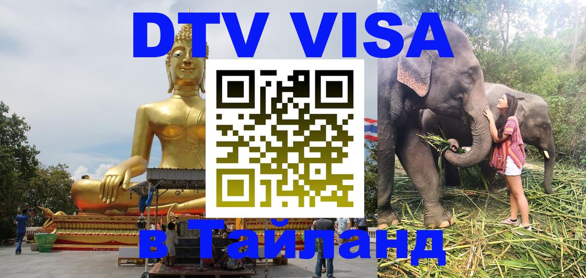 DTV Visa Тайланд купить Сургут 